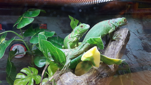 Pet Supply Store «Petco Animal Supplies», reviews and photos, 205 SE 5th St, Ames, IA 50010, USA