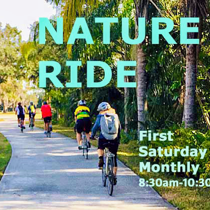 Bicycle Store «Chainwheel Drive», reviews and photos, 32796 US Hwy 19 N, Palm Harbor, FL 34684, USA