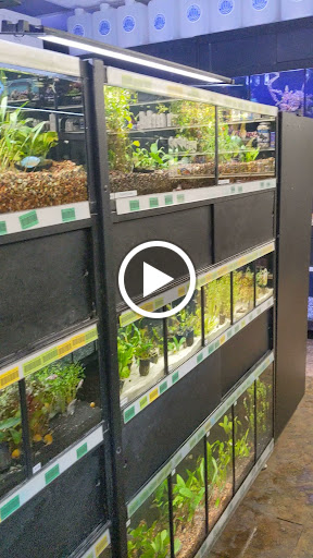 Tropical Fish Store «Premier Aquatics», reviews and photos, 1801 Roswell Rd, Marietta, GA 30062, USA
