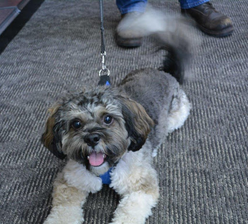 Pet Supply Store «The Natural Pet Enrichment Center», reviews and photos, 6720 Royalton Rd, North Royalton, OH 44133, USA