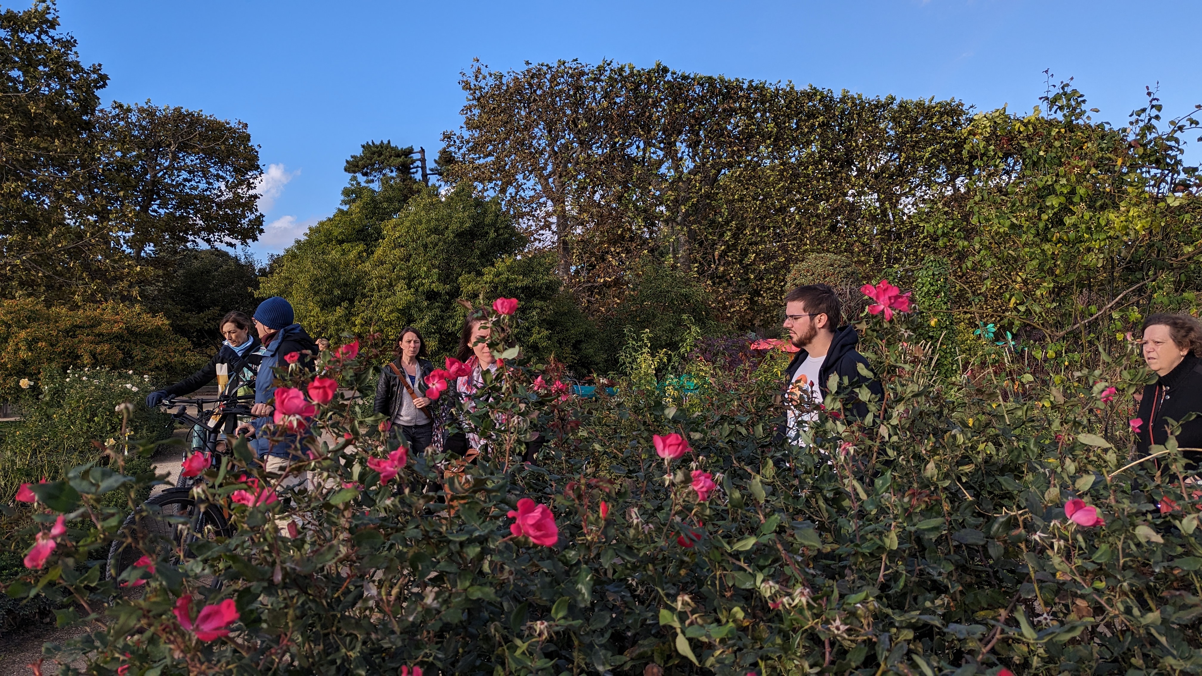 Photo n° 6 de l'avis de Sébastien.a fait le 25/10/2023 à 11:02