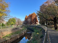 善福寺川緑地 杉二小前広場