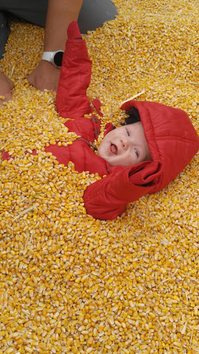 Produce Market «Kuwahara Farms», reviews and photos, 736 12300 S, Draper, UT 84020, USA