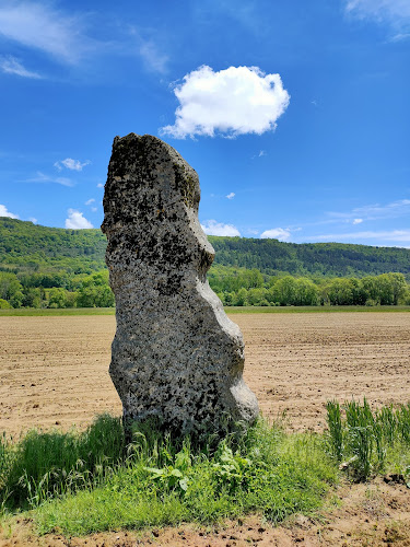 Menhir de Pierrefiche à Simandre-sur-Suran