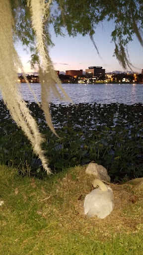 Tattoo Shop «Gaslight Tattoo Company», reviews and photos, 509 Florida Ave S, Lakeland, FL 33801, USA