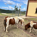 Photo n°12 de l'avis de Tony.a fait le 09/09/2023 à 22:11 sur le  Agriturismo Colleoli à Loc. Colleoli, Palaia