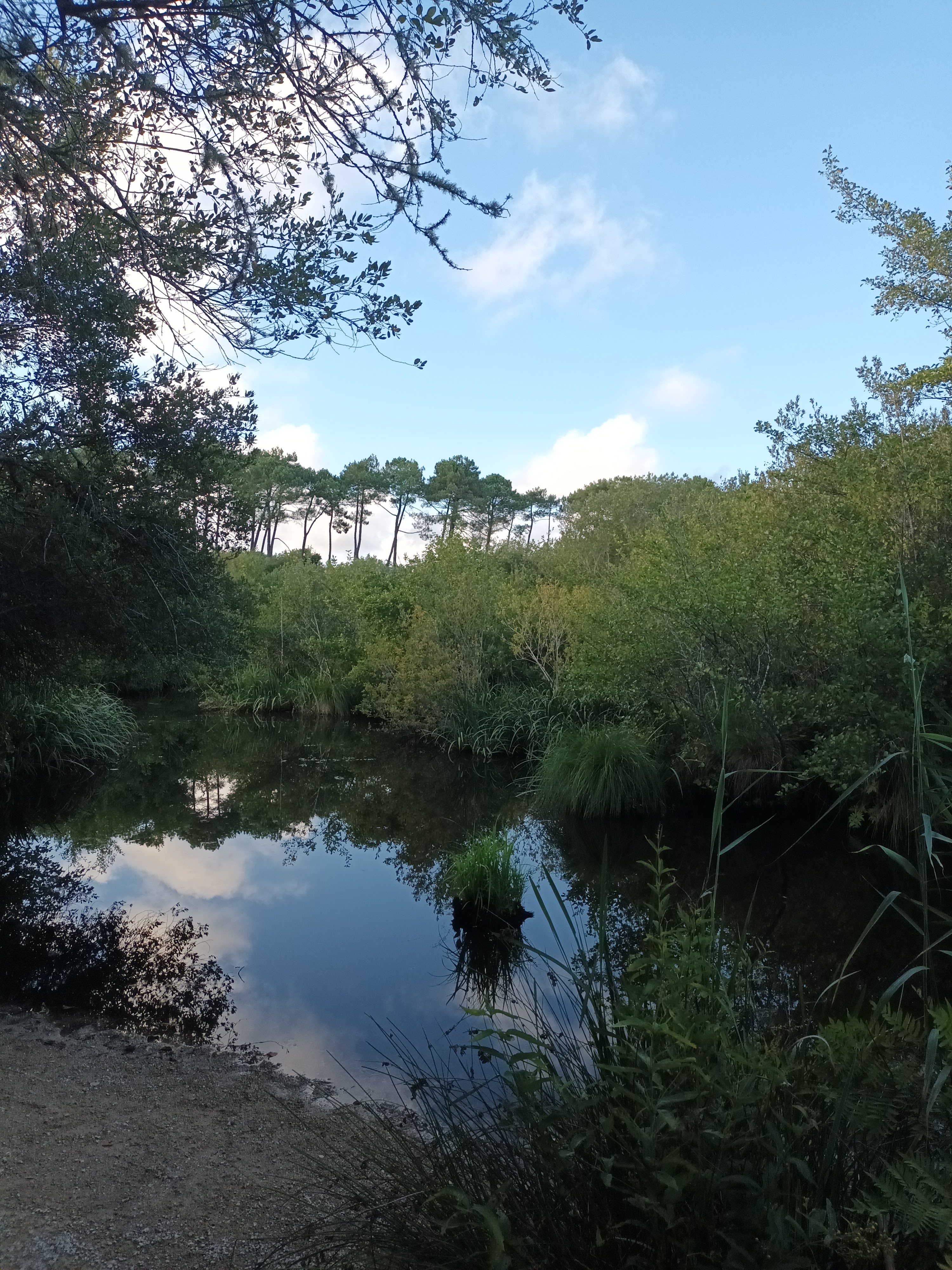 Photo n° 5 de l'avis de Jèrôme.R fait le 07/09/2023 à 21:29