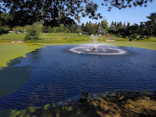 Golf Course «Willows Run Golf Complex», reviews and photos, 10402 Willows Rd, Redmond, WA 98052, USA