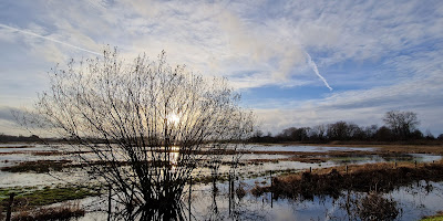 Stedelijk Natuurreservaat Bourgoyen-Ossemeersen