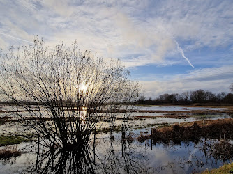 Stedelijk Natuurreservaat Bourgoyen-Ossemeersen