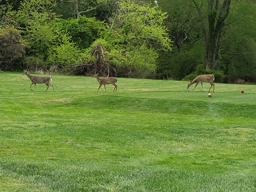 Golf Course «Ocean County Golf Course at Atlantis», reviews and photos, 261 Country Club Blvd, Tuckerton, NJ 08087, USA