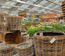 die flora - Ihr Gartencenter photo