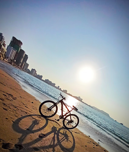Las Bicis - Tienda de bicicletas