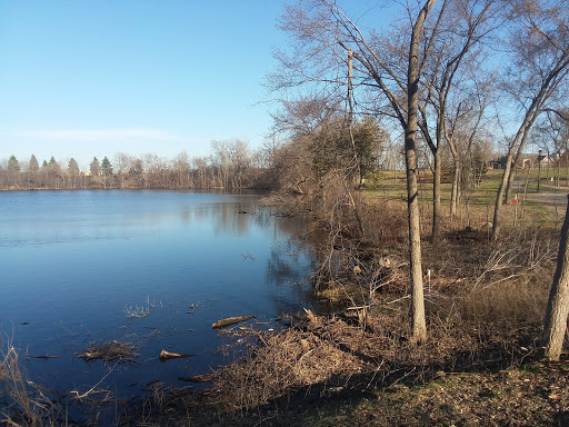 Stadium «U.S. Bank Stadium», reviews and photos, 401 Chicago Ave, Minneapolis, MN 55415, USA