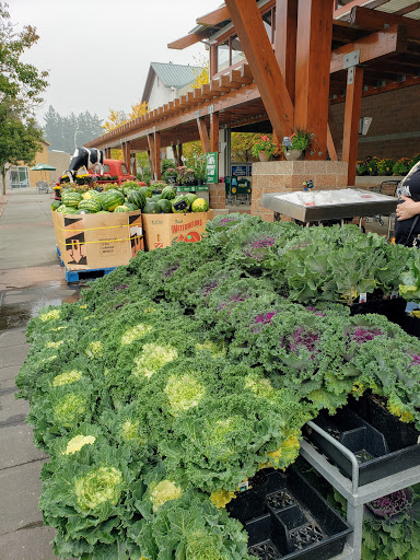 Grocery Store «Haggen Food & Pharmacy», reviews and photos, 1406 Lake Tapps Pkwy E, Auburn, WA 98092, USA