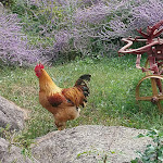Photo n° 1 de l'avis de kieny.h fait le 06/03/2020 à 12:26 pour Herrscher Michel Production à Colmar
