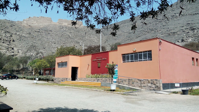 Opiniones de Museo de Sitio Arturo Jiménez Borja - Puruchuco en Ate - Museo