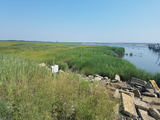 Nature Preserve «DuPont Nature Center», reviews and photos, 2992 Lighthouse Rd, Milford, DE 19963, USA