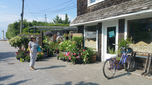 Grocery Store «Seaview Market Inc», reviews and photos, 20 Duneway Ave, Ocean Beach, NY 11770, USA