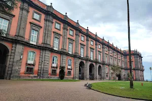 Porta Grande Bosco e Museo di Capodimonte image