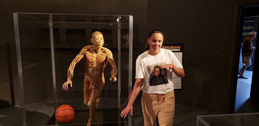 Ice Cream Shop «Cold Stone Creamery», reviews and photos, 1130 Celebrity Cir, Myrtle Beach, SC 29577, USA