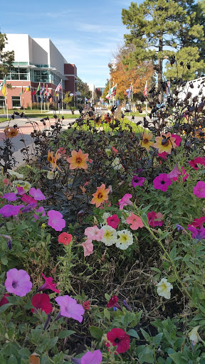 Sports Complex «U.S. Olympic Training Center», reviews and photos, 1 Olympic Plaza, Colorado Springs, CO 80909, USA