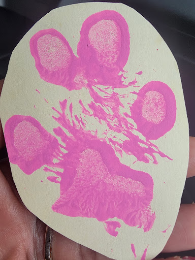 Tattoo Shop «New Life Tattoos», reviews and photos, 404 E Green St, Champaign, IL 61820, USA