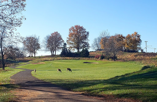 Golf Course «Green Knoll Golf Course», reviews and photos, 587 Garretson Rd, Bridgewater, NJ 08807, USA