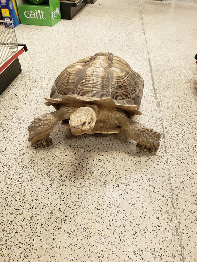 Pet Store «Rockstar Pets», reviews and photos, 215 N Main St, Tooele, UT 84074, USA