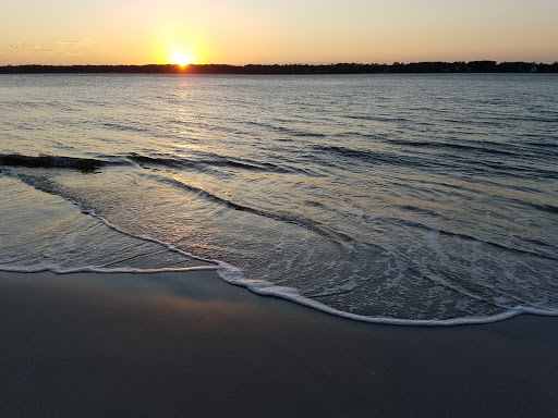 Ice Cream Shop «Salty Dog Ice Cream Factory», reviews and photos, 232 S Sea Pines Dr #304, Hilton Head Island, SC 29928, USA