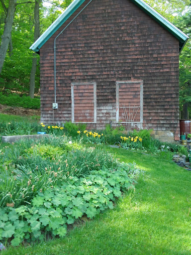 Park «Pardee Rose Gardens», reviews and photos, 180 Park Rd, Hamden, CT 06517, USA