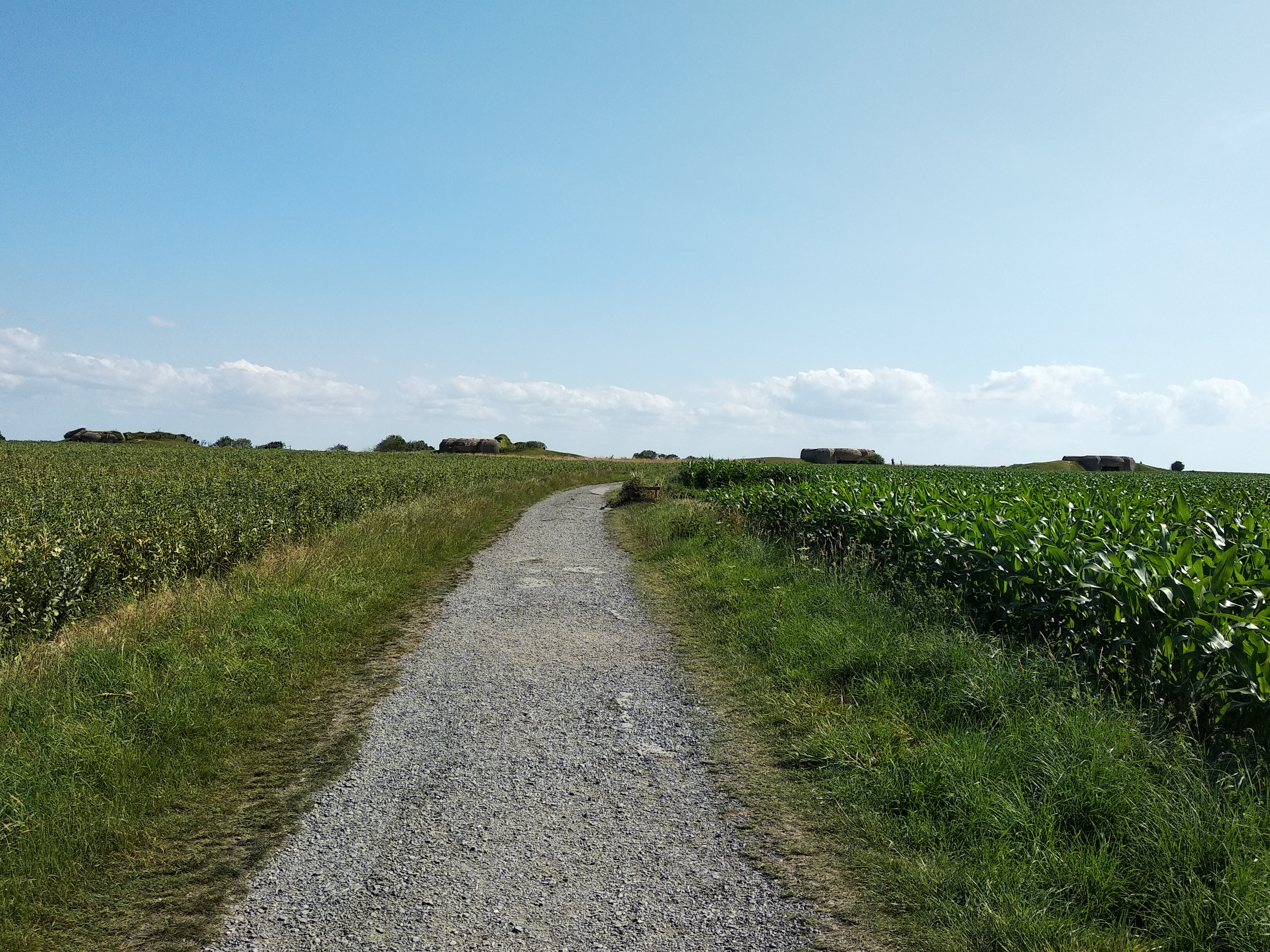 Photo n° 1 de l'avis de d.a fait le 18/07/2023 à 16:56