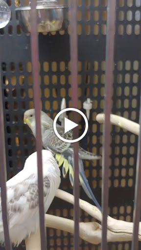 Pet Supply Store «PetSmart», reviews and photos, 10900 W Jefferson Blvd, Culver City, CA 90230, USA