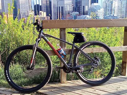 Calgary Bike Polo