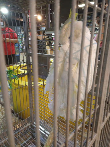 Pet Store «Exotic Tropical Petworld LLC.», reviews and photos, 1716 W Hackberry Ave, McAllen, TX 78501, USA