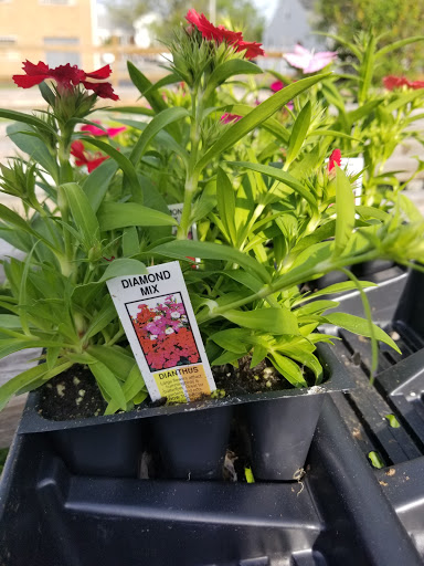 Florist «Lyndhurst Florist», reviews and photos, 5268 Mayfield Rd, Lyndhurst, OH 44124, USA