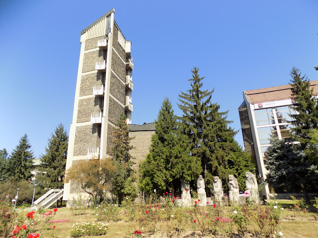 Opinii despre Instituţia Prefectului Judeţul Maramureş în <nil> - Spital