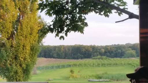 Winery «Black Fire Winery», reviews and photos, 1261 E Munger Rd, Tecumseh, MI 49286, USA