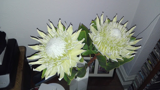 Johannesburg Florist