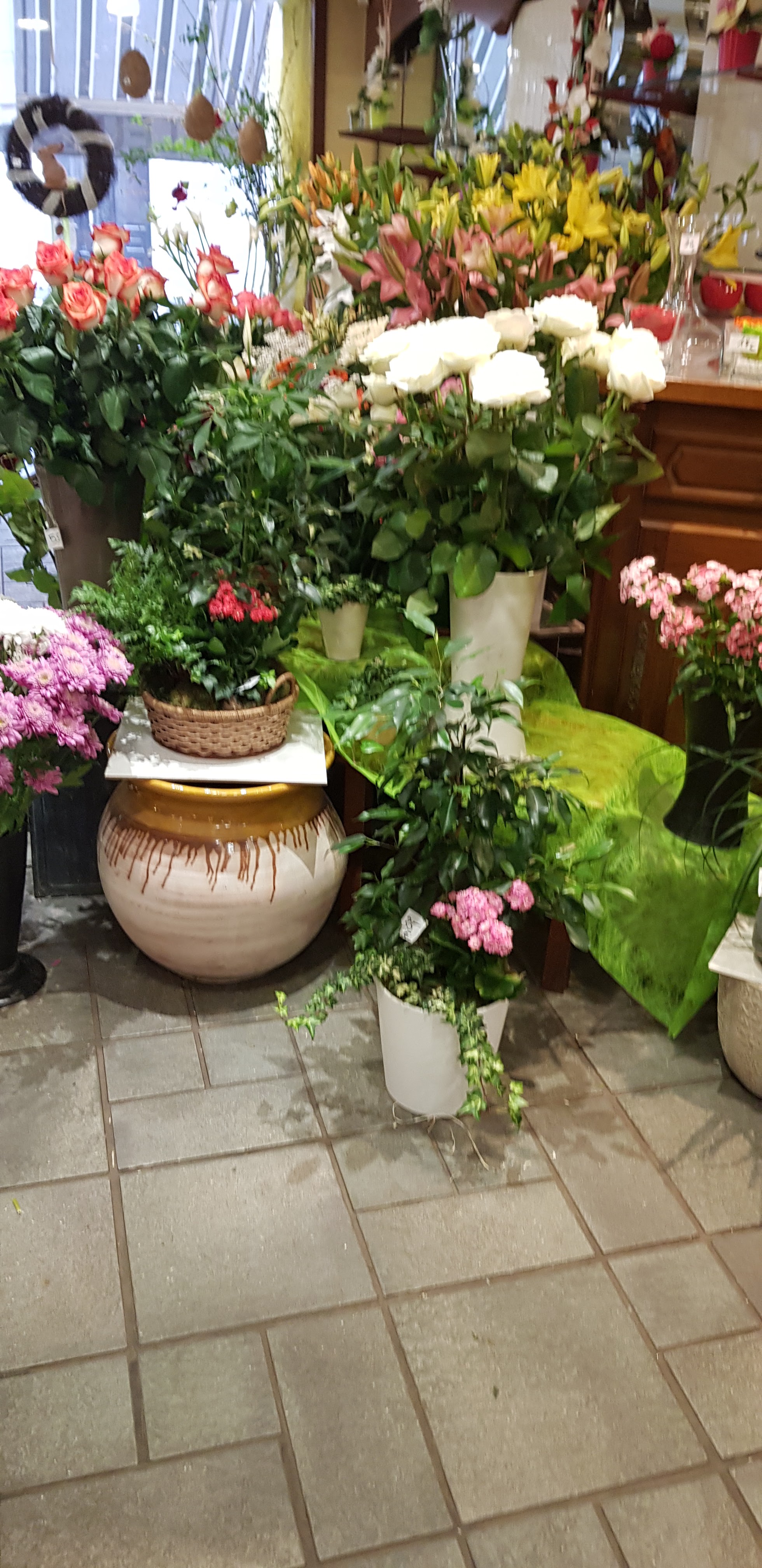 Photo n° 3 de l'avis de STEF.6 fait le 02/05/2019 à 16:58