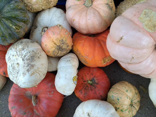 Grocery Store «Jewel-Osco», reviews and photos, 890 N Western Ave, Lake Forest, IL 60045, USA