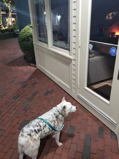 Gift Shop «Pleasant Surprise», reviews and photos, 121 Swinburne Row, Newport, RI 02840, USA