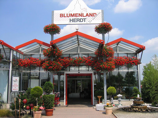 Blumenland Herdt