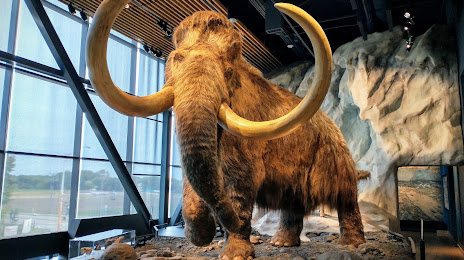 Remodeling Homes St. Paul