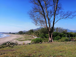 Palma Sola Beach'in fotoğrafı doğal alan içinde bulunmaktadır
