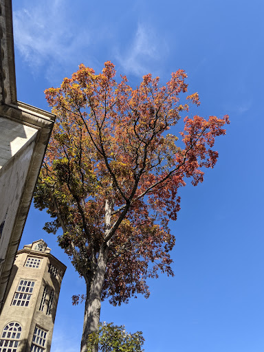 Museum «Mercer Museum», reviews and photos, 84 S Pine St, Doylestown, PA 18901, USA