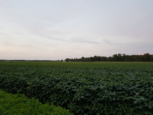 Golf Course «The Meadows at Middlesex Golf Course», reviews and photos, 70 Hunters Glen Dr, Plainsboro Township, NJ 08536, USA