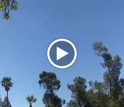 Parque publico de San Marcos photo