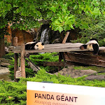 Photo n° 12 de l'avis de Luc.A fait le 29/08/2022 à 08:38 pour ZooParc de Beauval Entrée Nord à Saint-Aignan