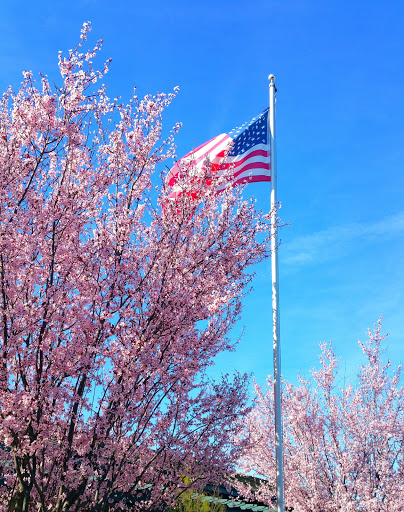 Mortgage Lender «Paramount Equity Mortgage», reviews and photos